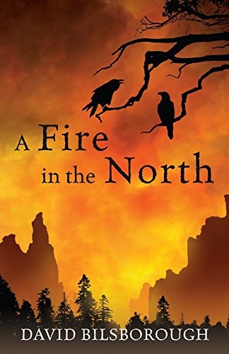 Cover of Fire in the North by David Bilsborough