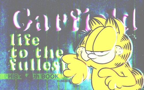 Cover of Garfield life to the fullest by Jim Davis