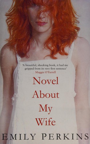 Cover of Novel about my wife by Emily Perkins