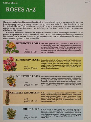 Cover of The rose expert by D. G. Hessayon