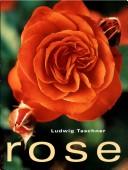 Cover of Rose by Ludwig Taschner
