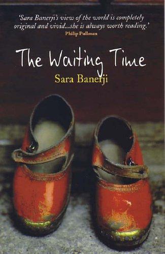 Cover of The Waiting Time (Transita) by Sara Banerji